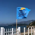 Edoardo E Franca *